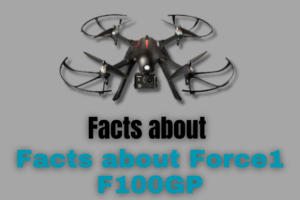 Facts about Force1 F100GP