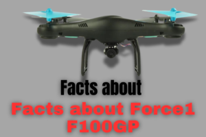 Facts about Force1 F100GP